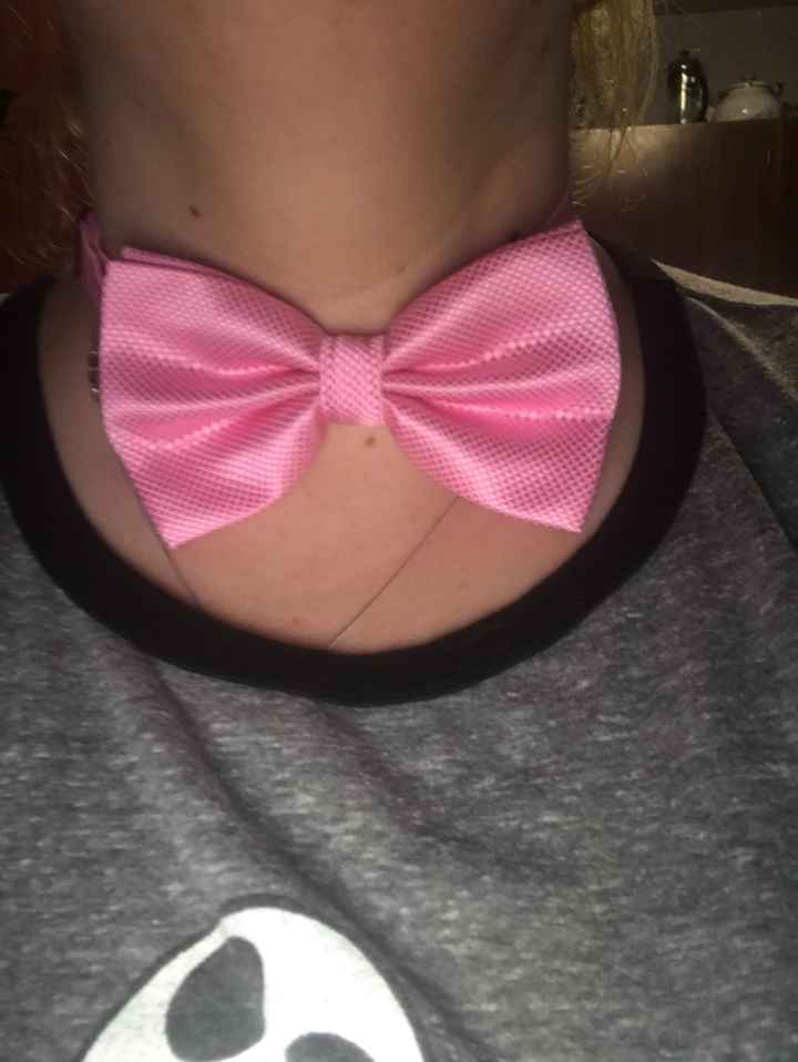 Stop over spending on bow ties - 2