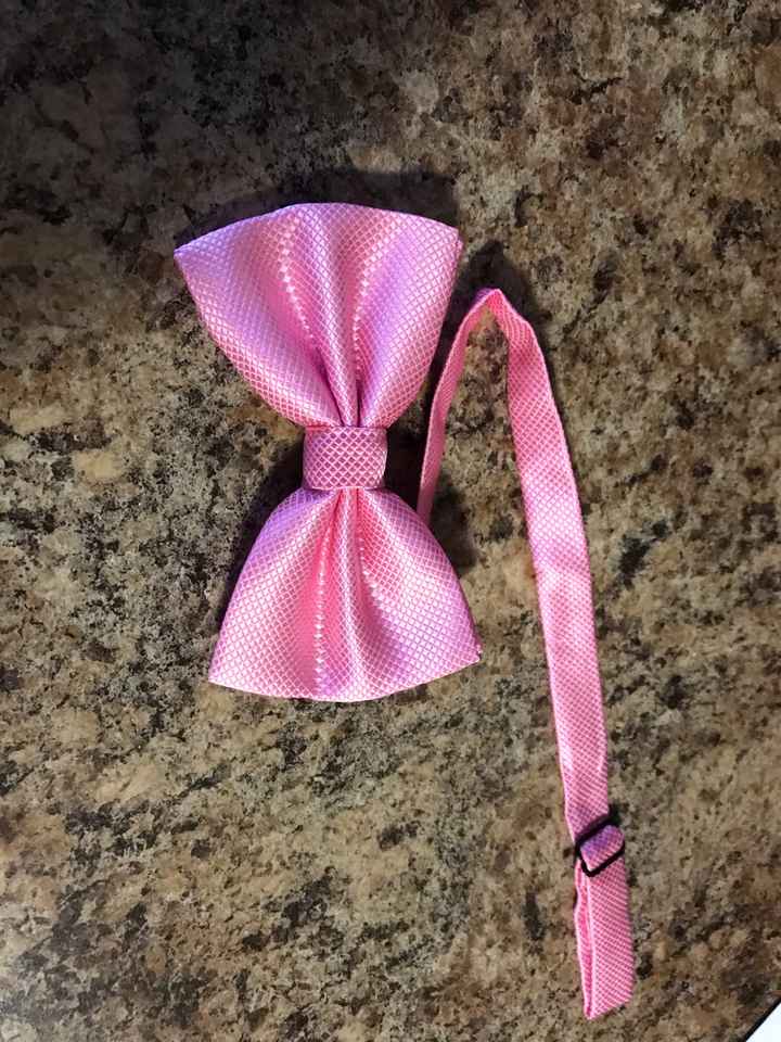 Stop over spending on bow ties - 3