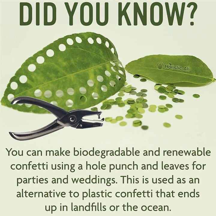 Biodegradable Confetti - 1