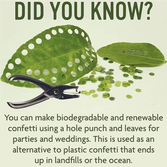 Biodegradable Confetti 1