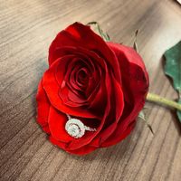 Brides of 2024 - Let's See Your Ring! - 2