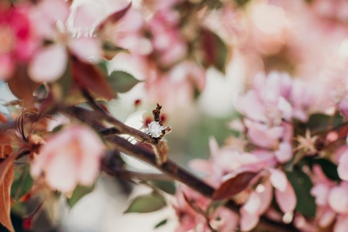 Spring Engagement Photos 2