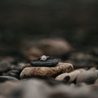 Brides of 2024 - Let's See Your Ring! - 1