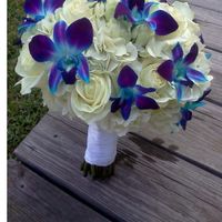 Something Blue - who has blue in their colour palette? - 1