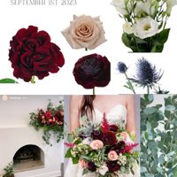 Floral inso