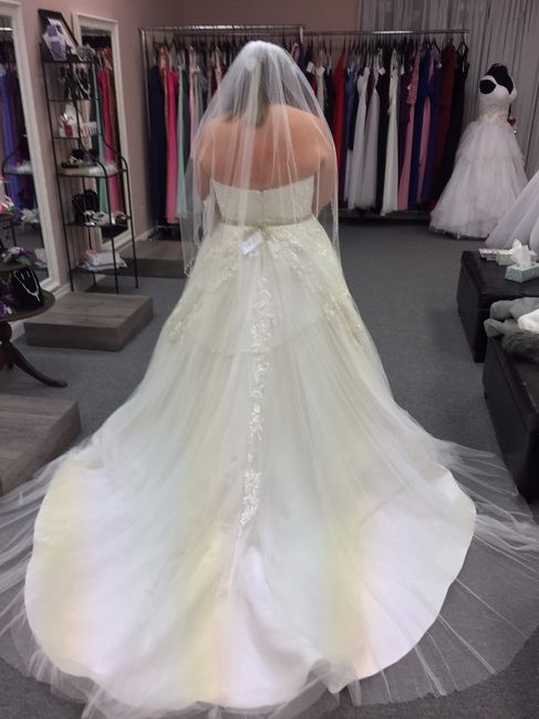 Wedding Dress again