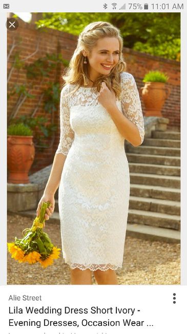 Dyeing a wedding dress 1