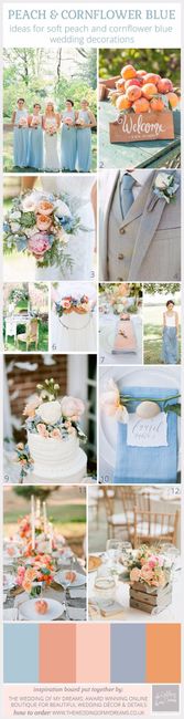 Peach & Cornflower Blue Palette