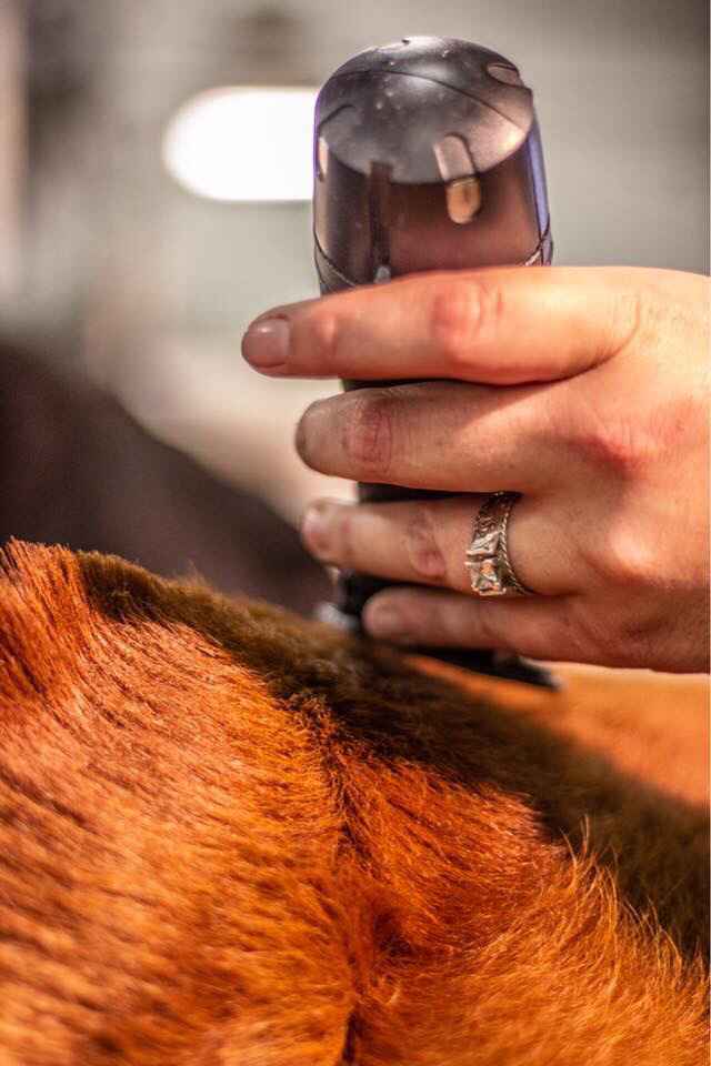 Let's see the engagement rings! - 1