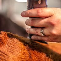 Let's see the engagement rings! - 1
