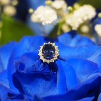 Brides of 2023 - Let's See Your Ring! - 1