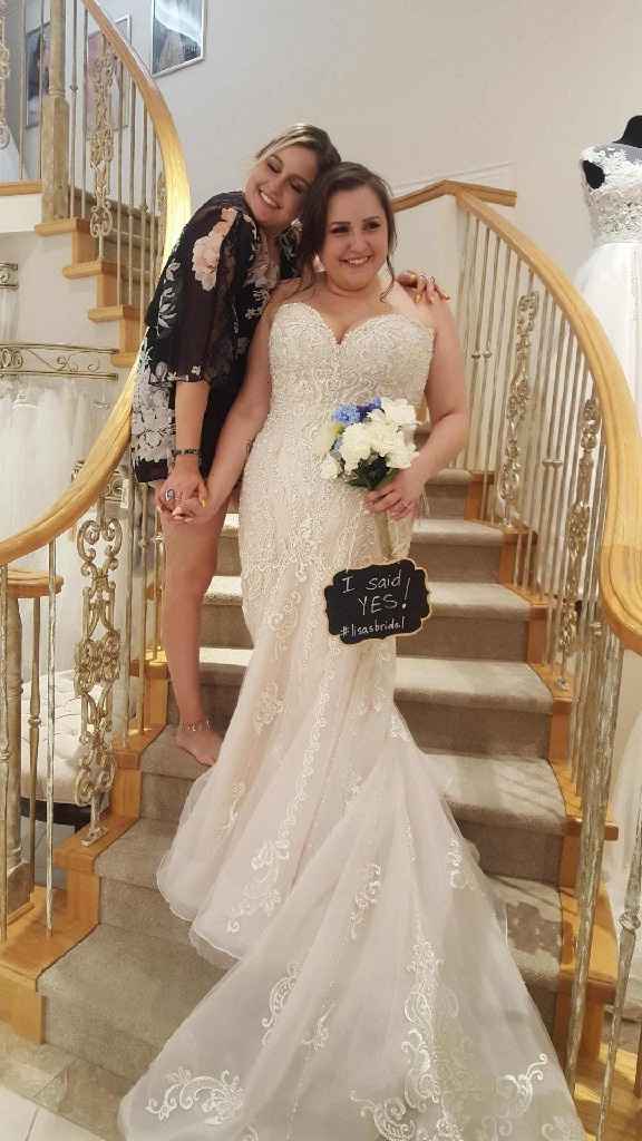 Have you said yes to the Dress? - 1