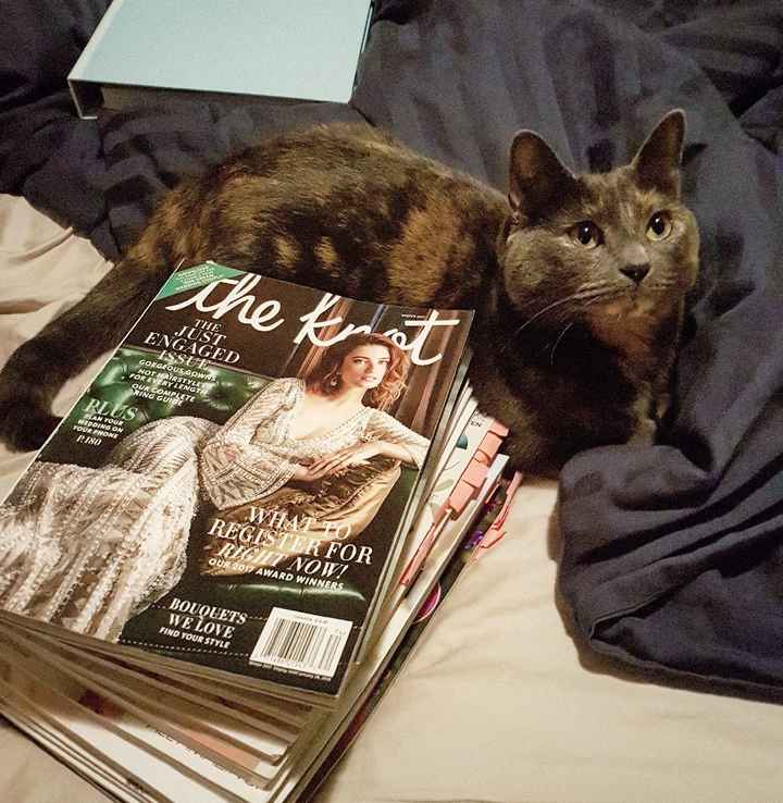 Workspace Wednesday - show us where you get your planning done - 3