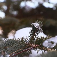 Engagement Photo's! - 4