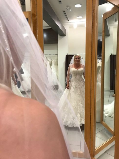 Bridal Dress Shopping 2