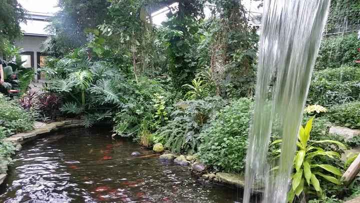 view from where we will get married!