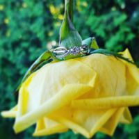 Brides of 2020!  Show us your ring!! - 1