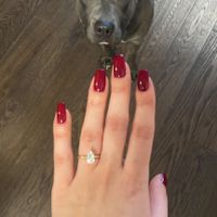 Brides of 2023 - Let's See Your Ring! - 1