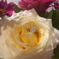 Brides of 2022 - Show Us Your Ring! - 1