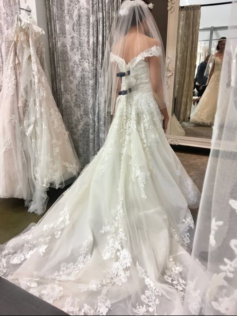 Dress opinion: Is a ballgown too much for a garden wedding? 2