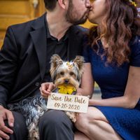 another contender for the STDs cards