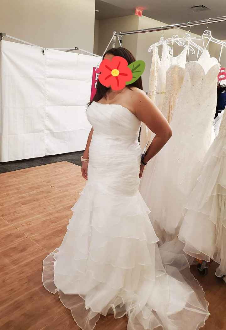 Second guessing my choice.... opinions needed! - 1