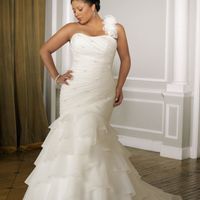 Second guessing my choice.... opinions needed! - 2