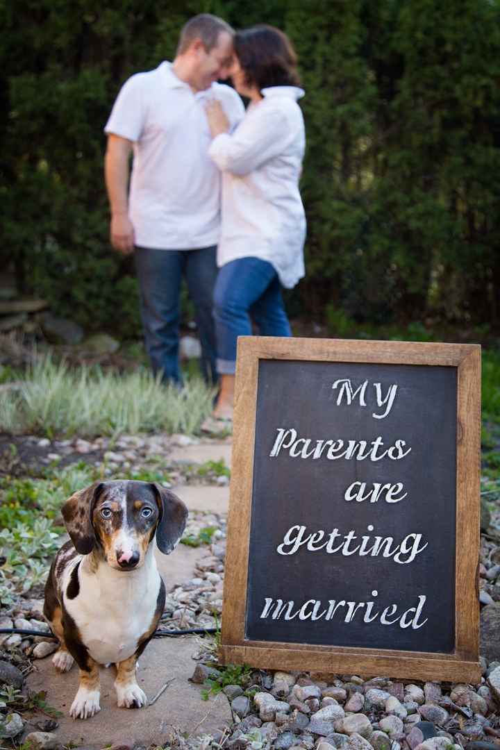 Bentley our ring bearer 