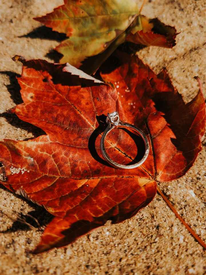 Brides of 2024 - Let's See Your Ring! - 1