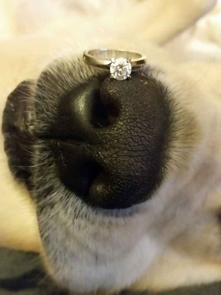 Show off your ring!! - 2