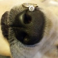Show off your ring!! - 2