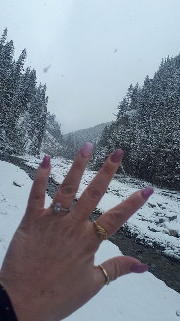 Brides of 2021! Show us your ring!! 5