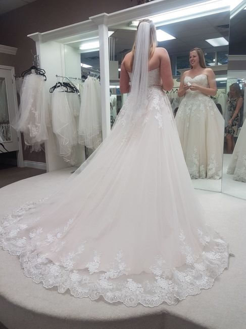 Accesorizing a blush wedding dress? 2