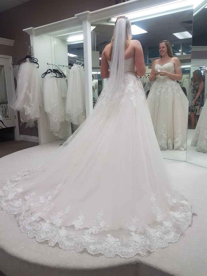 The back of my dress