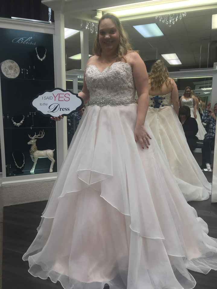 Dress colour doubts - 1