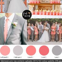 Coral and grey theme colour