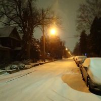 Winter