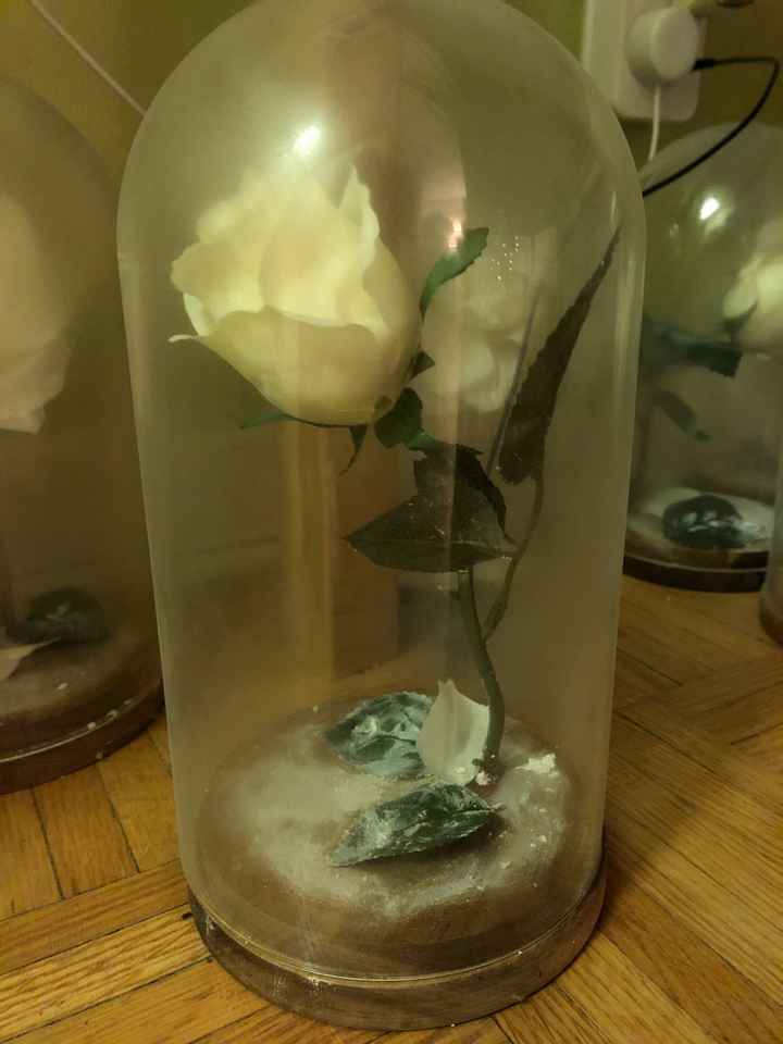 diy Project Sharing! - 1