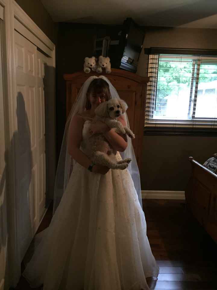 Dresses - Inspo and share your own! - 4