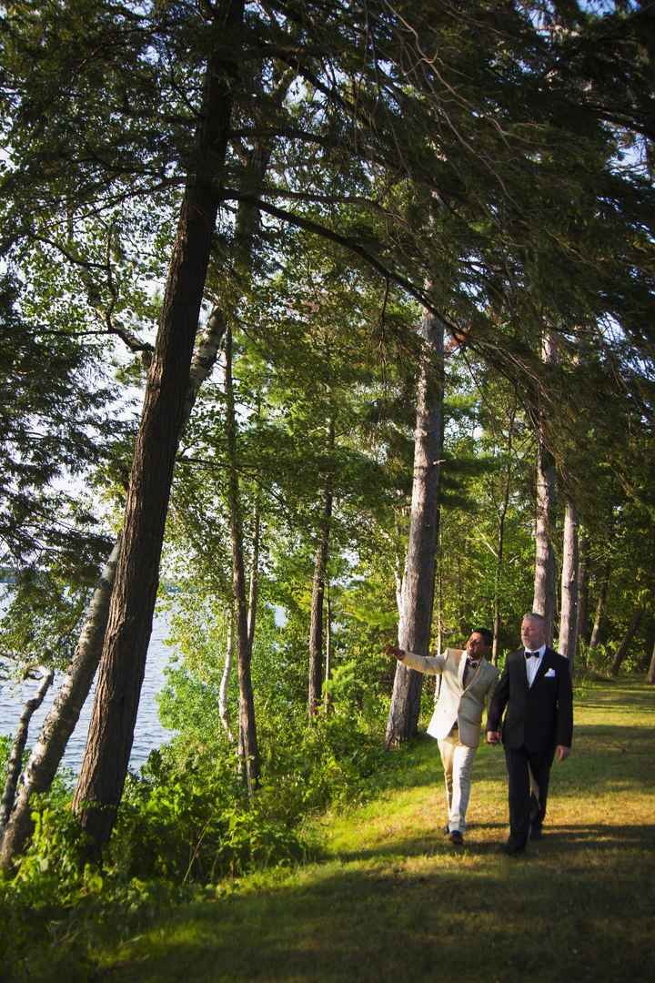 Nature around the venue