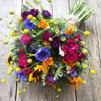 What colours are you using in your wedding decor? - 1