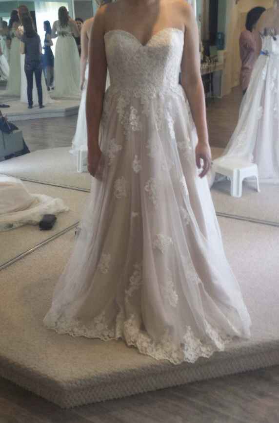 Stella shop york 6466
