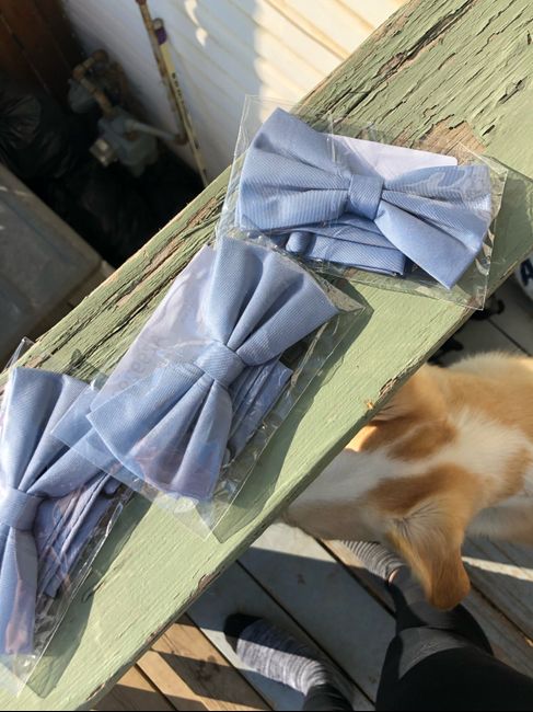 Bridesmaid Swatches are in! Now, what blue do I use? - 5