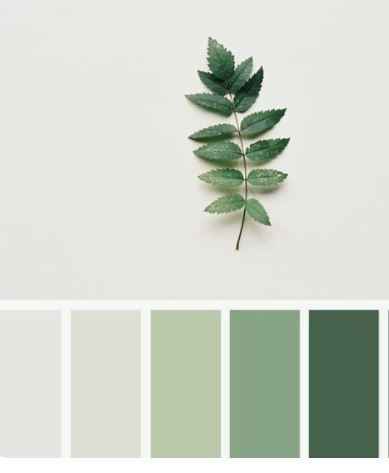 Wedding colours inspiration