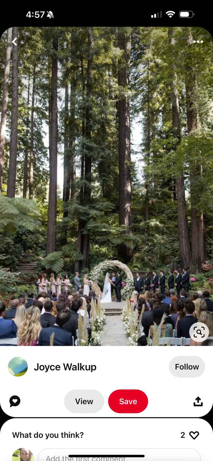 Tree covered ceremony in Bc, Canada - 2