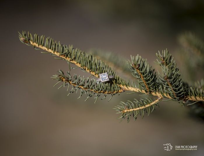 My ring