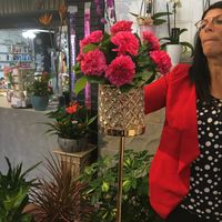 Flowers - 1