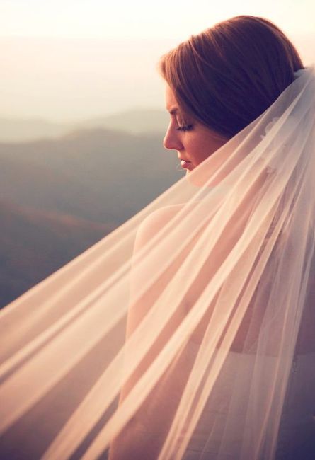 Blush wedding veil