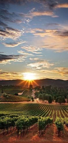 Napa Valley, California