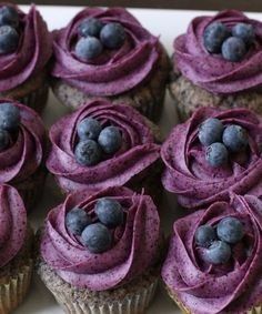 Blueberry cupcake